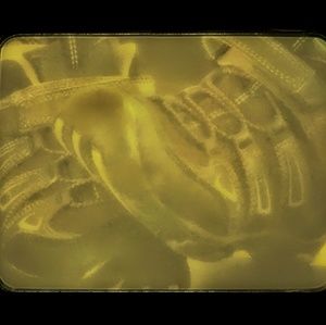 Boys KEEN boots EUC sz. 13, $25